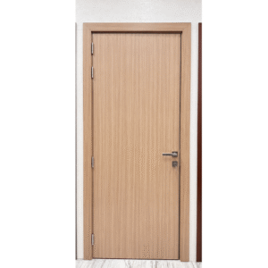 Modern light color WPC door (1)