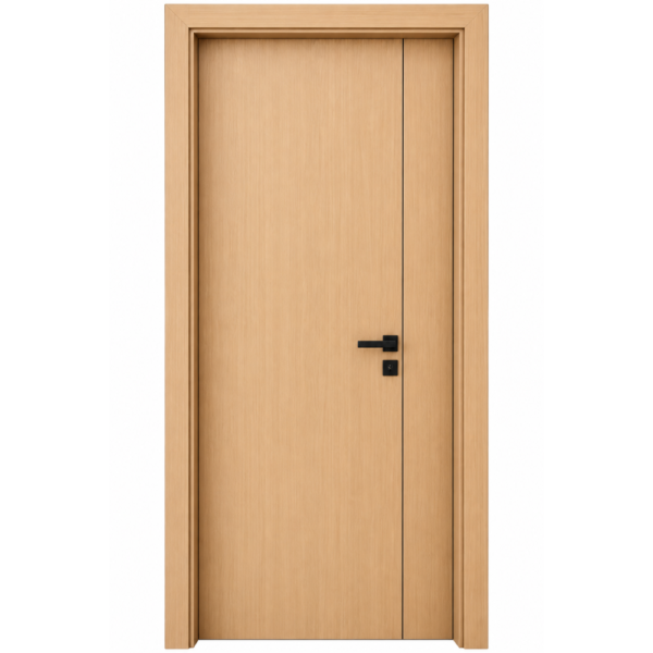 modern WPC door